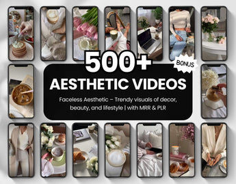 500 Aesthetic Faceless Videos for Instagram Reels & TikTok with PLR & MRR DigiPax