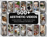 500 Aesthetic Faceless Videos for Instagram Reels & TikTok with PLR & MRR DigiPax